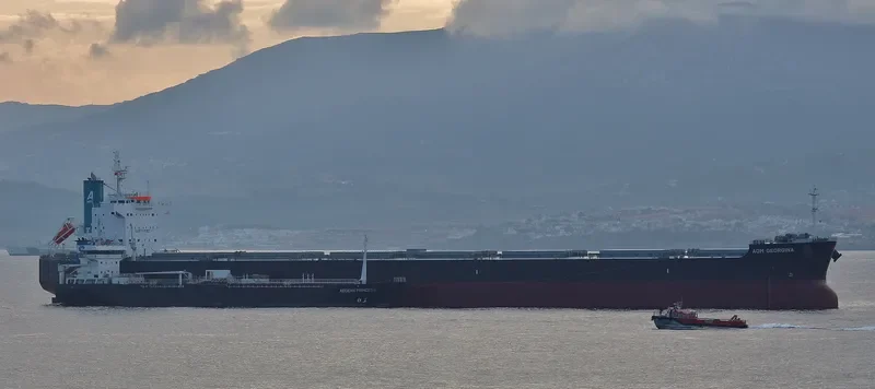 AOM GEORGINA Bulk Carrier IMO 9622552 photo 9