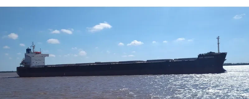 AOM GEORGINA Bulk Carrier IMO 9622552 photo 10