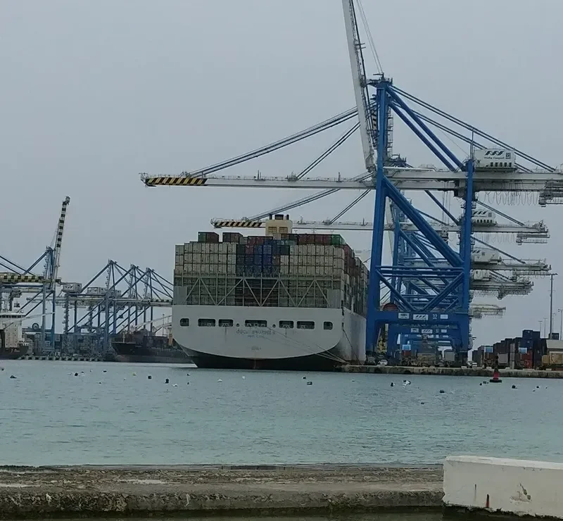 OOCL BRUSSELS Container Ship IMO 9622590