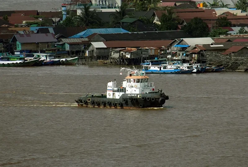 DOLPHIN 16 General Cargo IMO 9622643