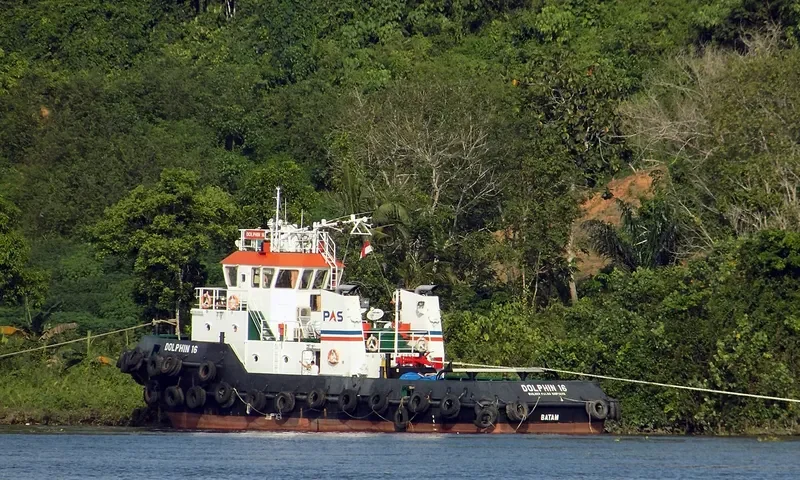 DOLPHIN 16 General Cargo IMO 9622643 photo 3