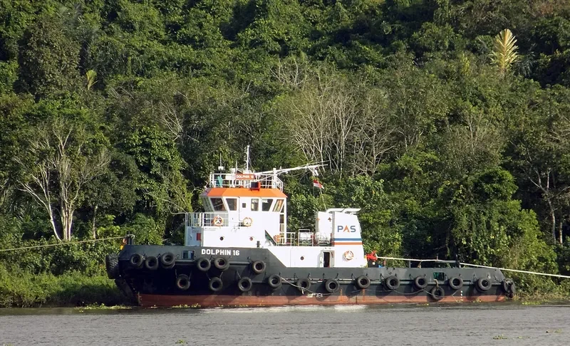 DOLPHIN 16 General Cargo IMO 9622643 photo 4