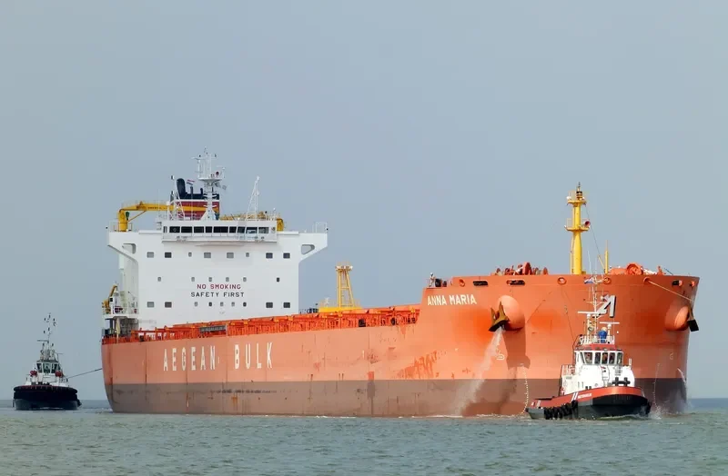 ANNA MARIA Bulk Carrier IMO 9622679 photo 8
