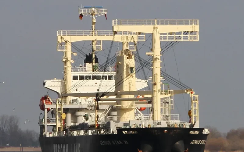 GENIUS STAR XI General Cargo IMO 9622710 photo 10
