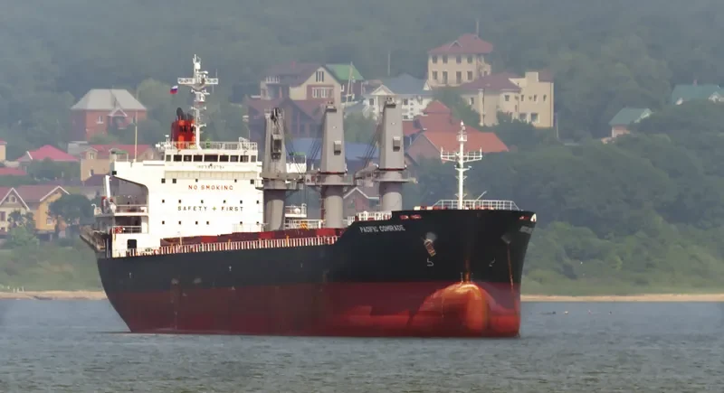PACIFIC COMRADE Bulk Carrier IMO 9622734