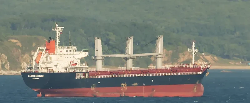 PACIFIC COMRADE Bulk Carrier IMO 9622734 photo 2