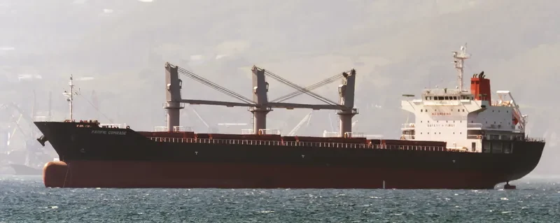 PACIFIC COMRADE Bulk Carrier IMO 9622734 photo 3