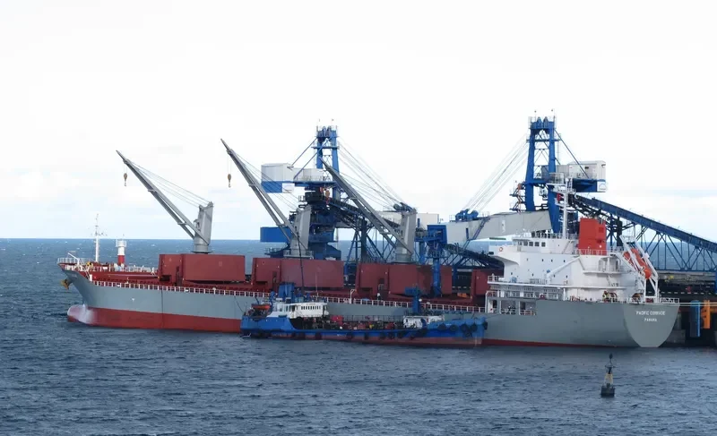 PACIFIC COMRADE Bulk Carrier IMO 9622734 photo 5