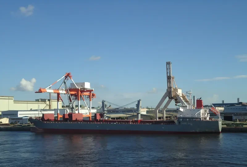 PACIFIC COMRADE Bulk Carrier IMO 9622734 photo 8