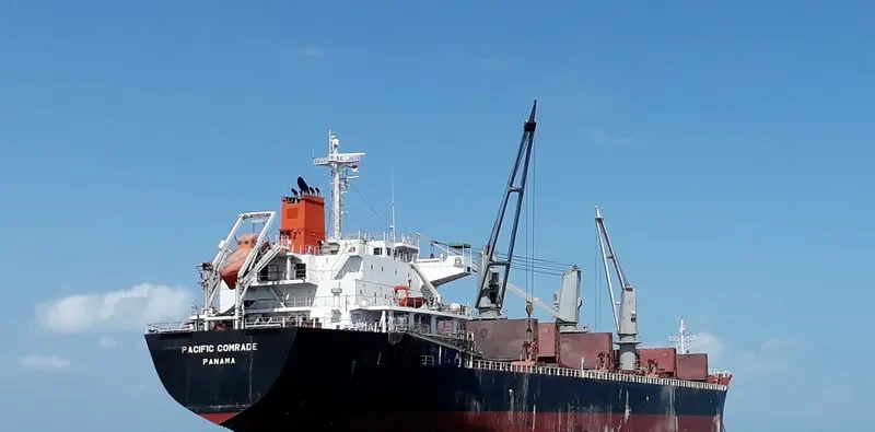 PACIFIC COMRADE Bulk Carrier IMO 9622734 photo 10