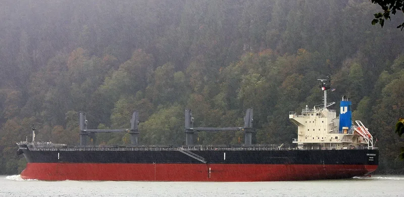 NEW DIRECTION Bulk Carrier IMO 9622801