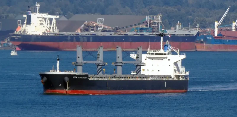NEW DIRECTION Bulk Carrier IMO 9622801 photo 2