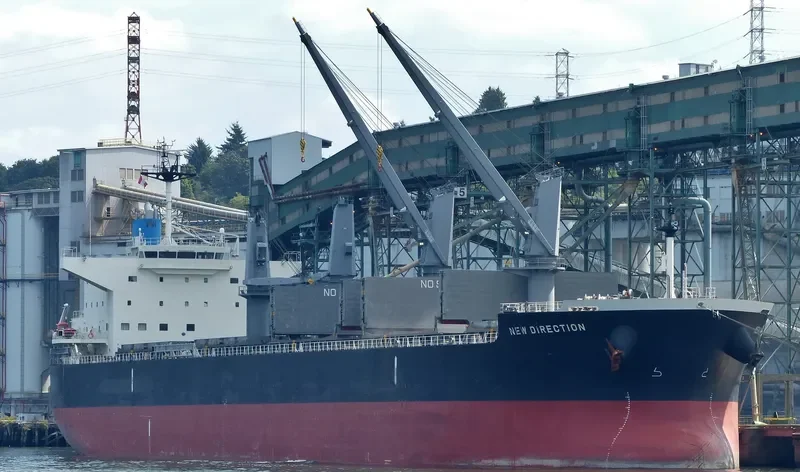 NEW DIRECTION Bulk Carrier IMO 9622801 photo 4