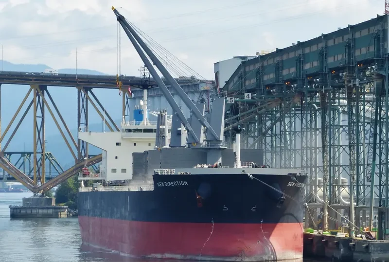NEW DIRECTION Bulk Carrier IMO 9622801 photo 5