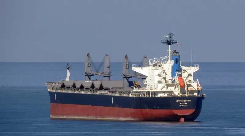 NEW DIRECTION Bulk Carrier IMO 9622801 photo 6