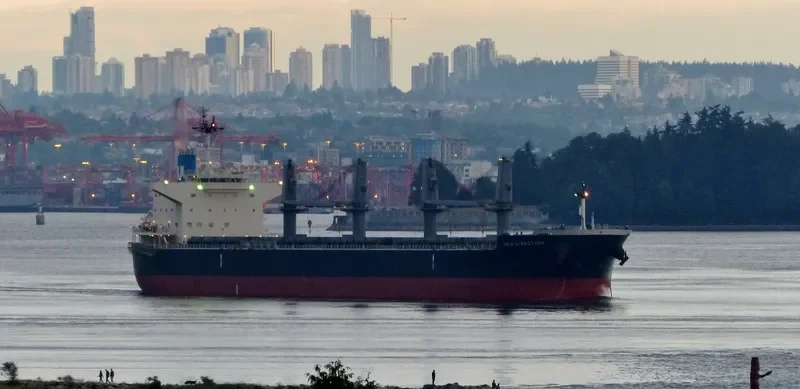 NEW DIRECTION Bulk Carrier IMO 9622801 photo 7