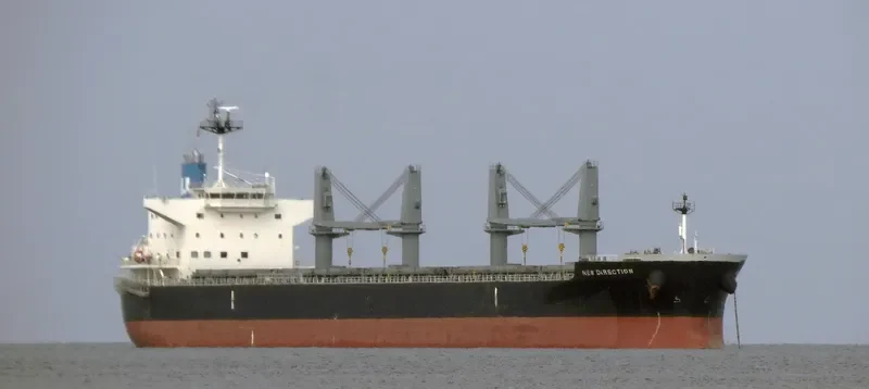 NEW DIRECTION Bulk Carrier IMO 9622801 photo 8