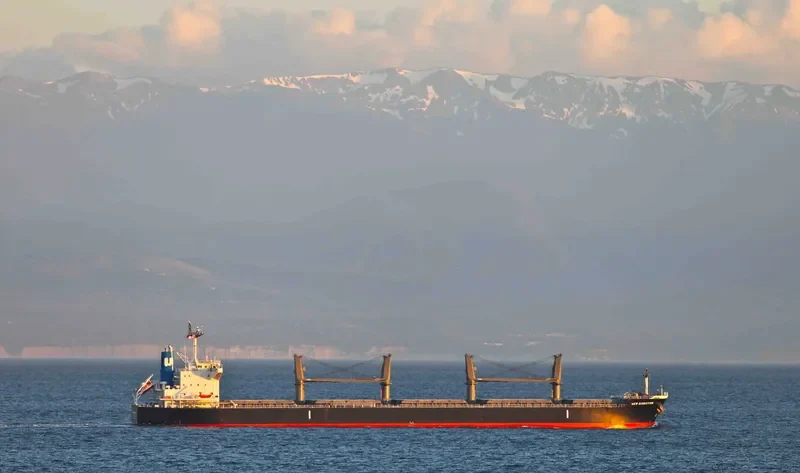 NEW DIRECTION Bulk Carrier IMO 9622801 photo 9