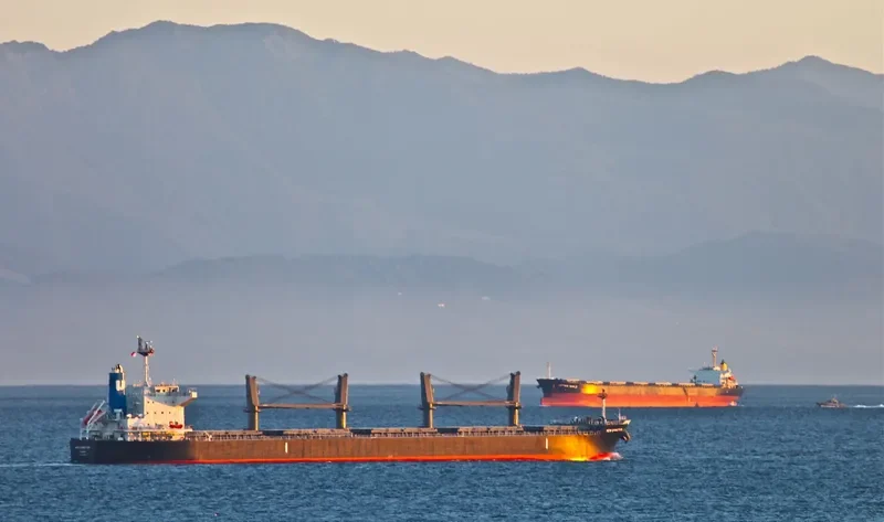 NEW DIRECTION Bulk Carrier IMO 9622801 photo 10