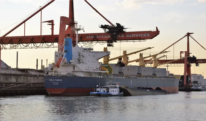 MEGHNA FREEDOM Bulk Carrier IMO 9622813