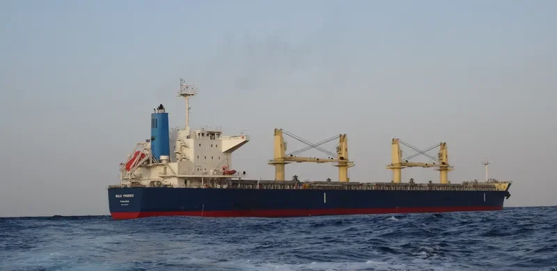 MEGHNA FREEDOM Bulk Carrier IMO 9622813 photo 3