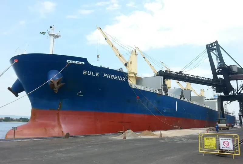 MEGHNA FREEDOM Bulk Carrier IMO 9622813 photo 4