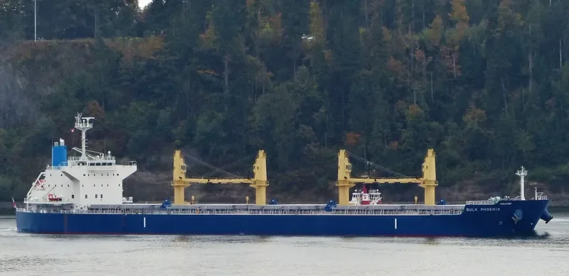 MEGHNA FREEDOM Bulk Carrier IMO 9622813 photo 5