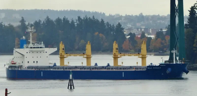 MEGHNA FREEDOM Bulk Carrier IMO 9622813 photo 6