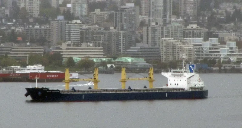 MEGHNA FREEDOM Bulk Carrier IMO 9622813 photo 7