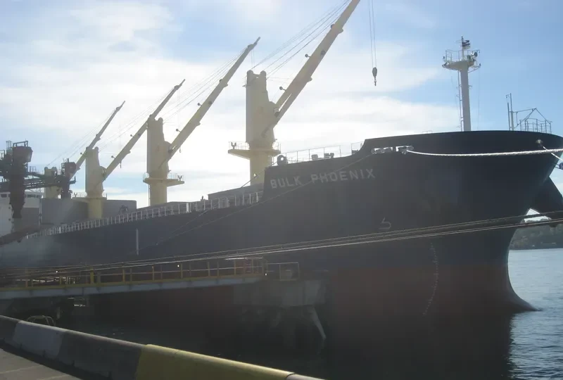 MEGHNA FREEDOM Bulk Carrier IMO 9622813 photo 8