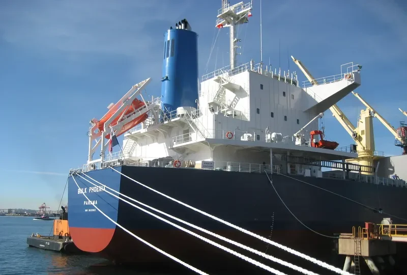 MEGHNA FREEDOM Bulk Carrier IMO 9622813 photo 9