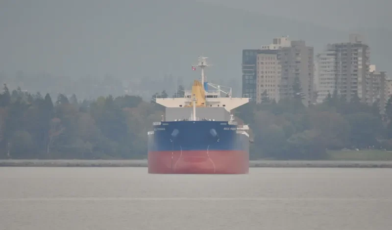 MEGHNA FREEDOM Bulk Carrier IMO 9622813 photo 10