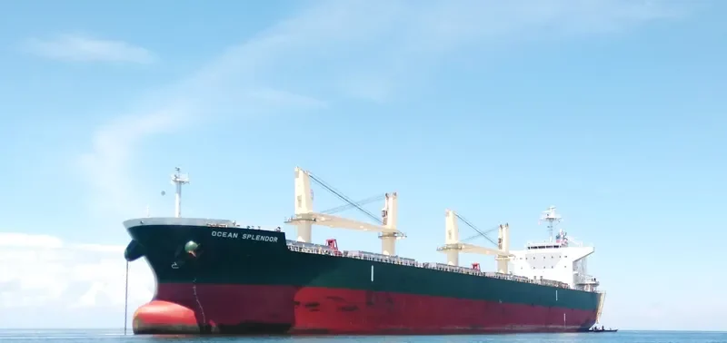 OCEAN SPLENDOR Bulk Carrier IMO 9622825 photo 3
