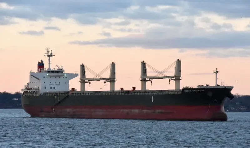 OCEAN SPLENDOR Bulk Carrier IMO 9622825 photo 9