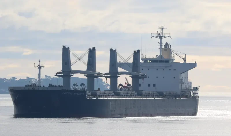 PACIFIC INTEGRITY Bulk Carrier IMO 9622837 photo 2