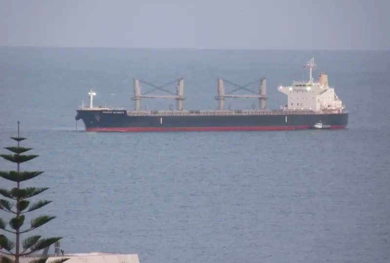 PACIFIC INTEGRITY Bulk Carrier IMO 9622837 photo 3