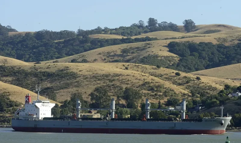 DEVON BAY Bulk Carrier IMO 9622849