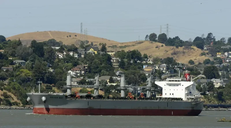 DEVON BAY Bulk Carrier IMO 9622849 photo 2