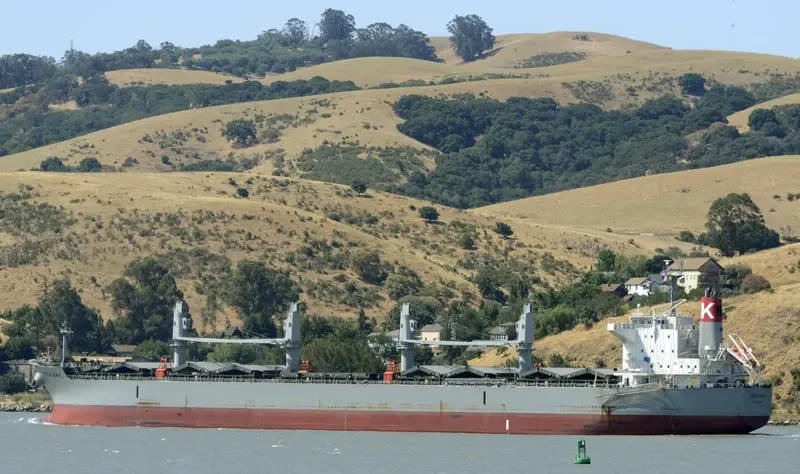 DEVON BAY Bulk Carrier IMO 9622849 photo 3