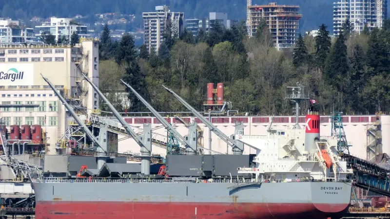 DEVON BAY Bulk Carrier IMO 9622849 photo 4