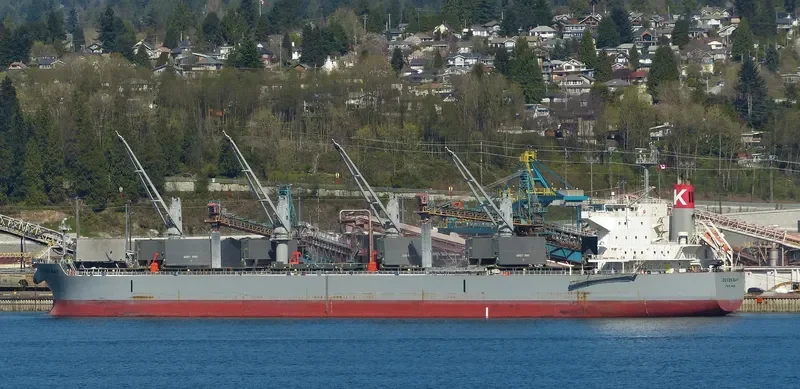 DEVON BAY Bulk Carrier IMO 9622849 photo 5
