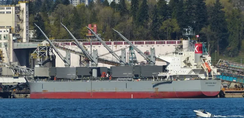 DEVON BAY Bulk Carrier IMO 9622849 photo 6
