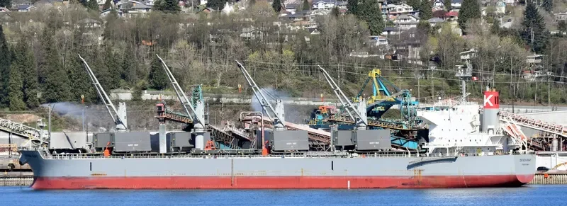 DEVON BAY Bulk Carrier IMO 9622849 photo 7