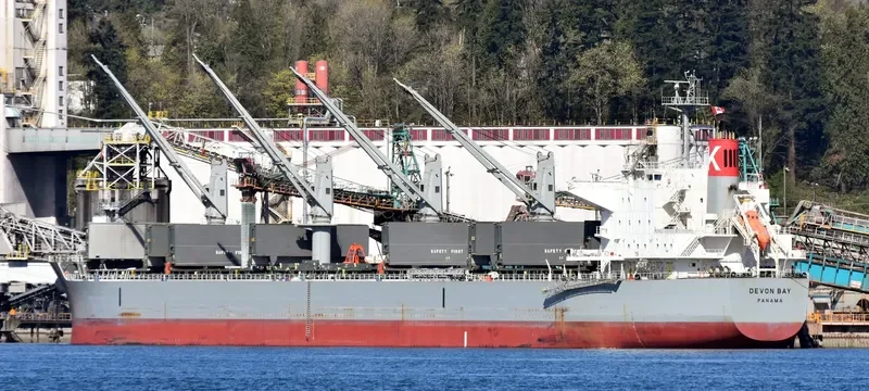 DEVON BAY Bulk Carrier IMO 9622849 photo 8