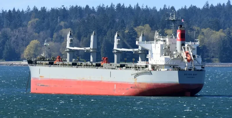 DEVON BAY Bulk Carrier IMO 9622849 photo 9