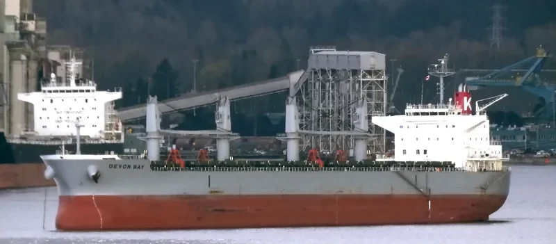DEVON BAY Bulk Carrier IMO 9622849 photo 10