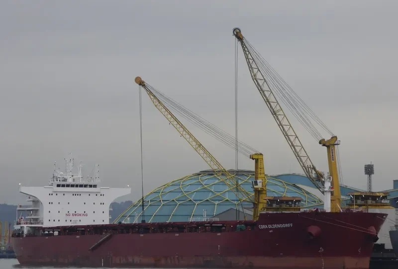 CORA OLDENDORFF Bulk Carrier IMO 9622916 photo 3