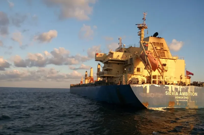 HONG BO 6 Bulk Carrier IMO 9622930
