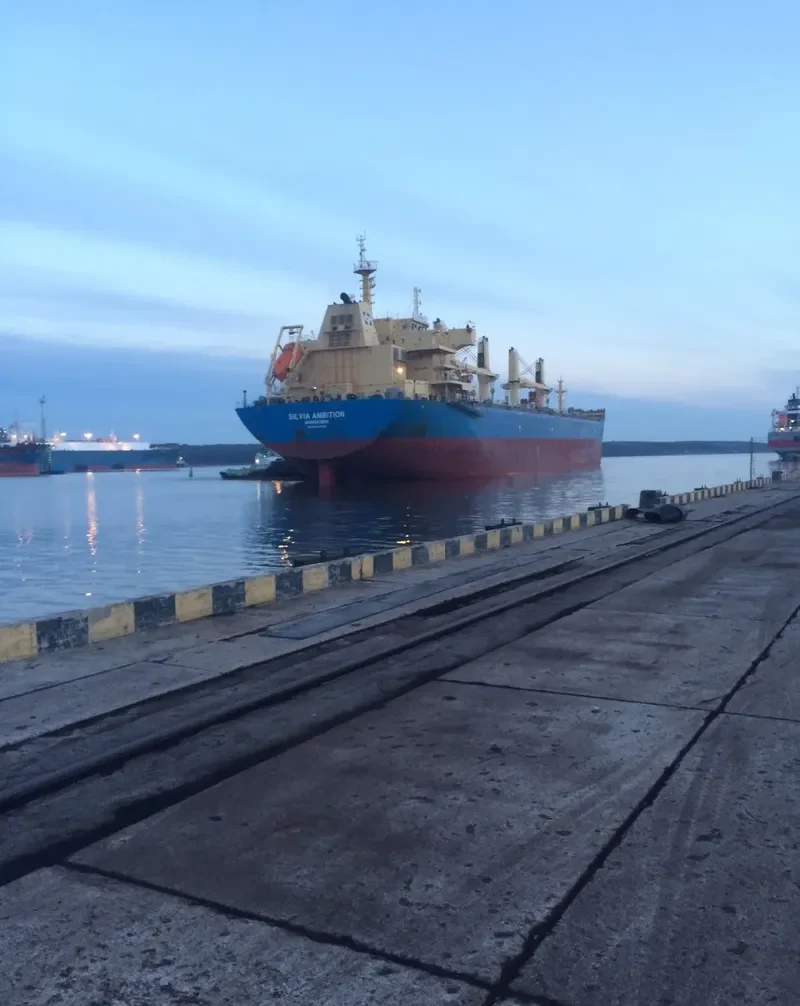 HONG BO 6 Bulk Carrier IMO 9622930 photo 2