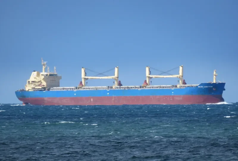 HONG BO 6 Bulk Carrier IMO 9622930 photo 3